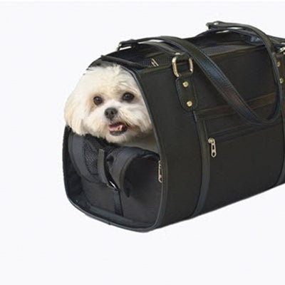 Payton Dog Carrier Handbag - Black | Pawlicious & Company