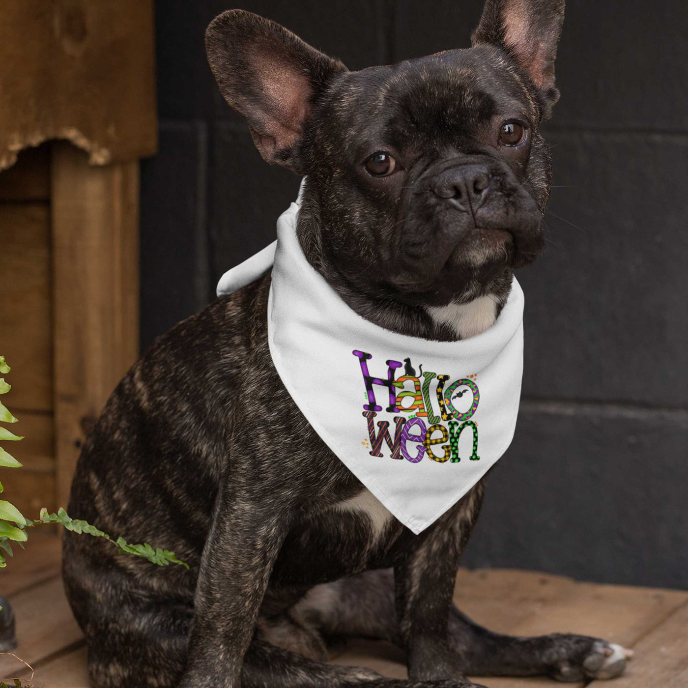 Halloween Pet Bandana | Pawlicious & Company