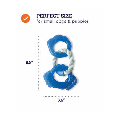 Orka Dentalinks | Pawlicious & Company