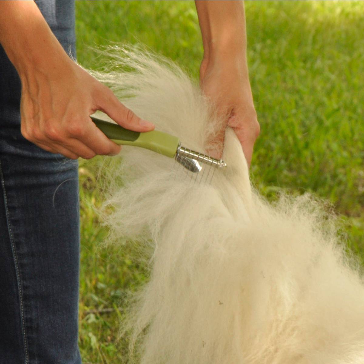 Safari® De-matting Dog Comb | Pawlicious & Company