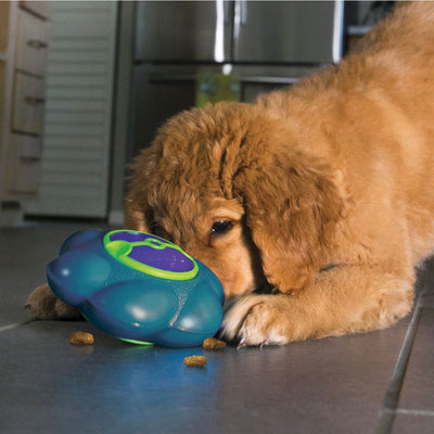 KONG® Flipz Treat Dog Toy | Pawlicious & Company