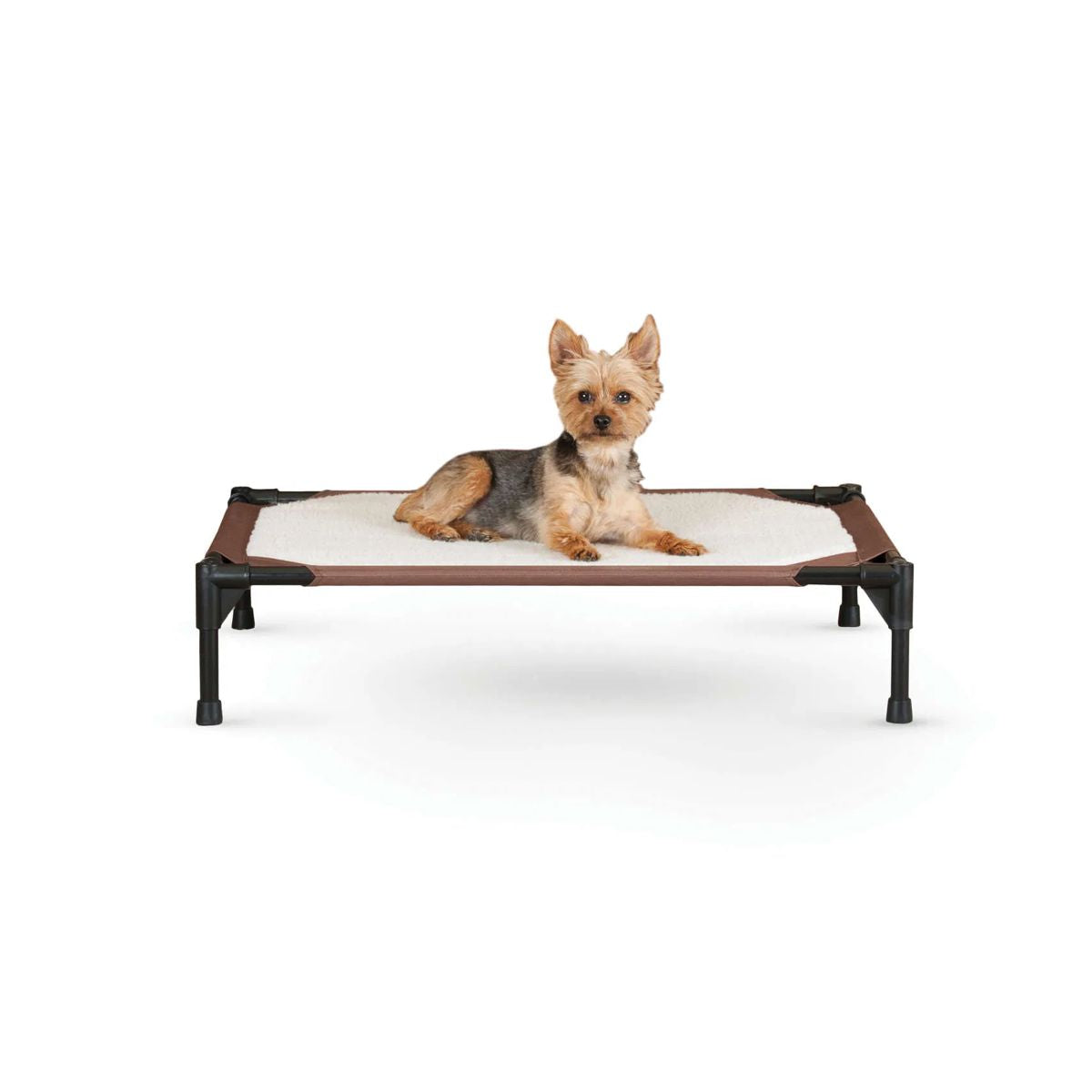 Tan/Mocha Dog Cot with Comfy Pad - Small | Pawlicious & Company