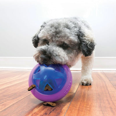 KONG® Hopz Treat Ball Dog Toy | Pawlicious & Company