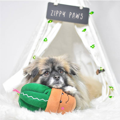 Carmen the Cactus Plush Toy | Pawlicious & Company
