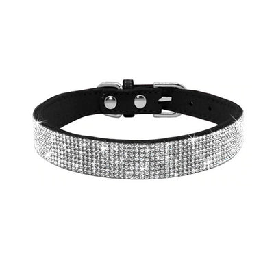 Black Suede Dog Collar with Rhinestones and Plain Buckle | Pawlicious & Company