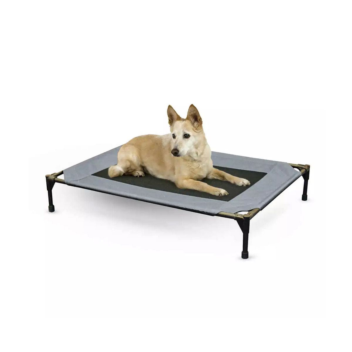 Gray Blue Dog Cot with Waterproof Fabric - Large | Pawlicious & Company