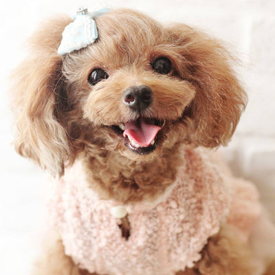 Vintage Girl Dog Hair Clip in Baby Blue | Pawlicious & Company