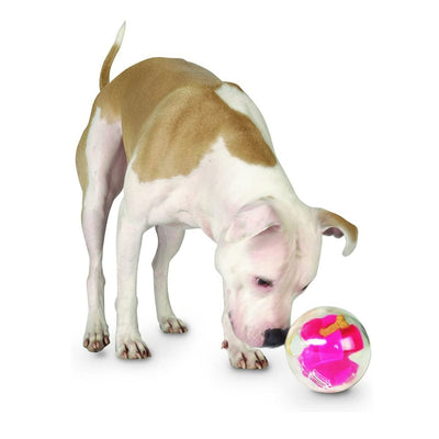 Orbee Tuff 5” Mazee Interactive Toy in Pink | Pawlicious & Company