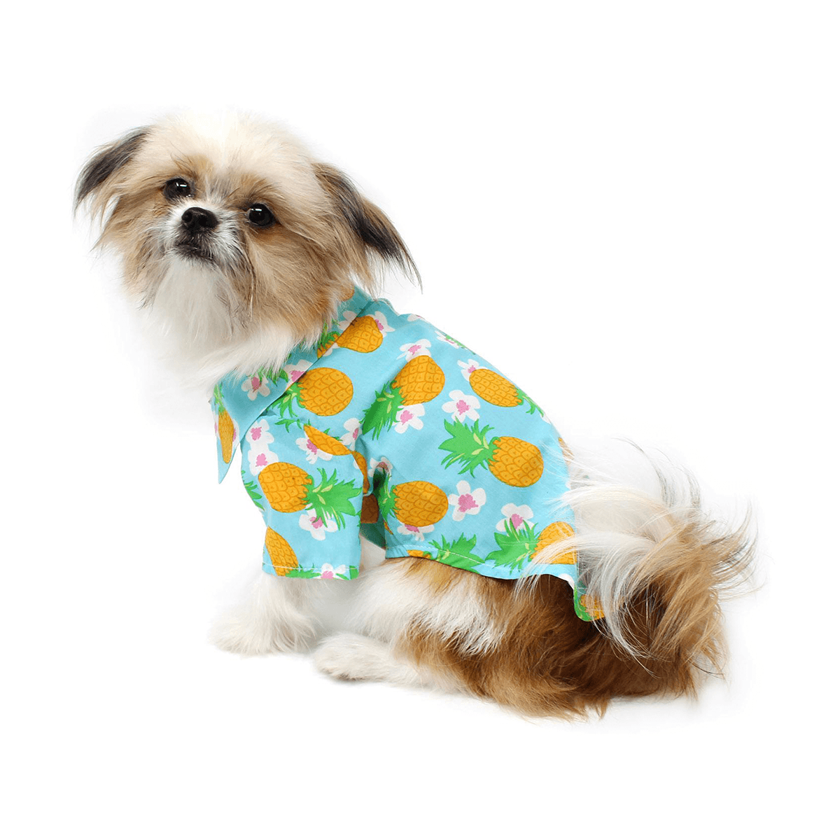 Pineapple Luau Camp Dog Shirt | Pawlicious & Company