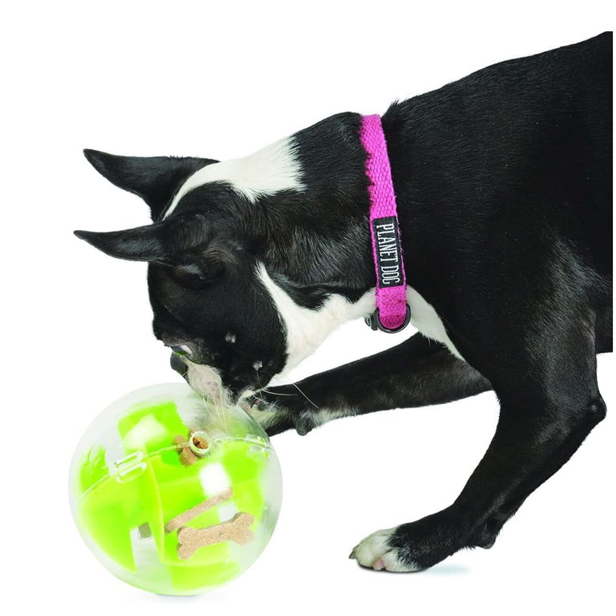 Orbee Tuff 5” Mazee Interactive Toy in Green | Pawlicious & Company