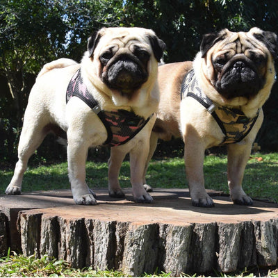American River Choke Free Dog Harness - Brown Camouflage | Pawlicious & Company