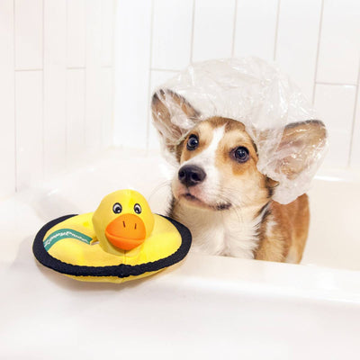 Floaterz Duck Toy | Pawlicious & Company