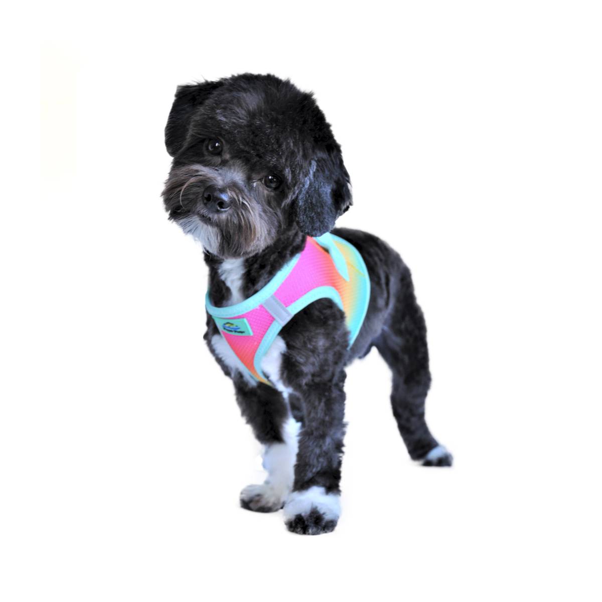 American River Choke Free Dog Harness - Ombre Beach Party | Pawlicious & Company