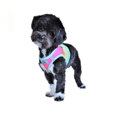 American River Choke Free Dog Harness - Ombre Beach Party | Pawlicious & Company