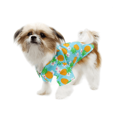 Pineapple Luau Camp Dog Shirt | Pawlicious & Company