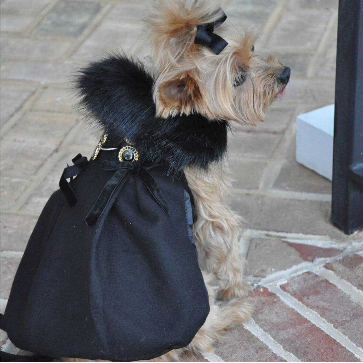 Wool Dog Coat Fur Trimmed in Black | Pawlicious & Company