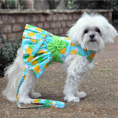 Pineapple Luau Dog Harness Dress with Matching Leash | Pawlicious & Company