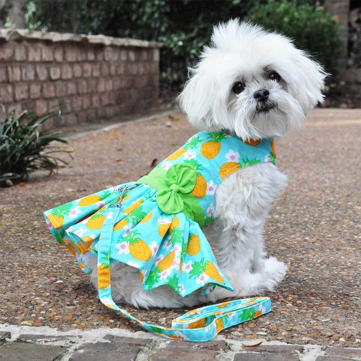 Pineapple Luau Dog Harness Dress with Matching Leash | Pawlicious & Company