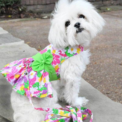 Pink Hawaiian Floral Dog Harness Dress with Matching Leash | Pawlicious & Company