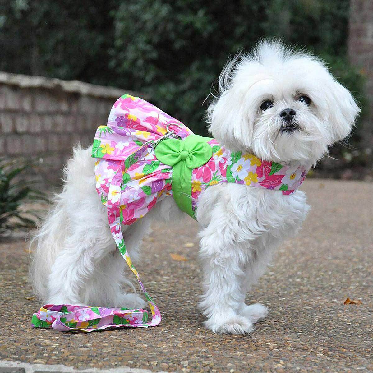 Pink Hawaiian Floral Dog Harness Dress with Matching Leash | Pawlicious & Company