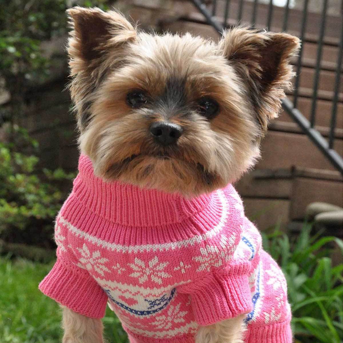 Pink Snowflake and Hearts Dog Sweater | Pawlicious & Company