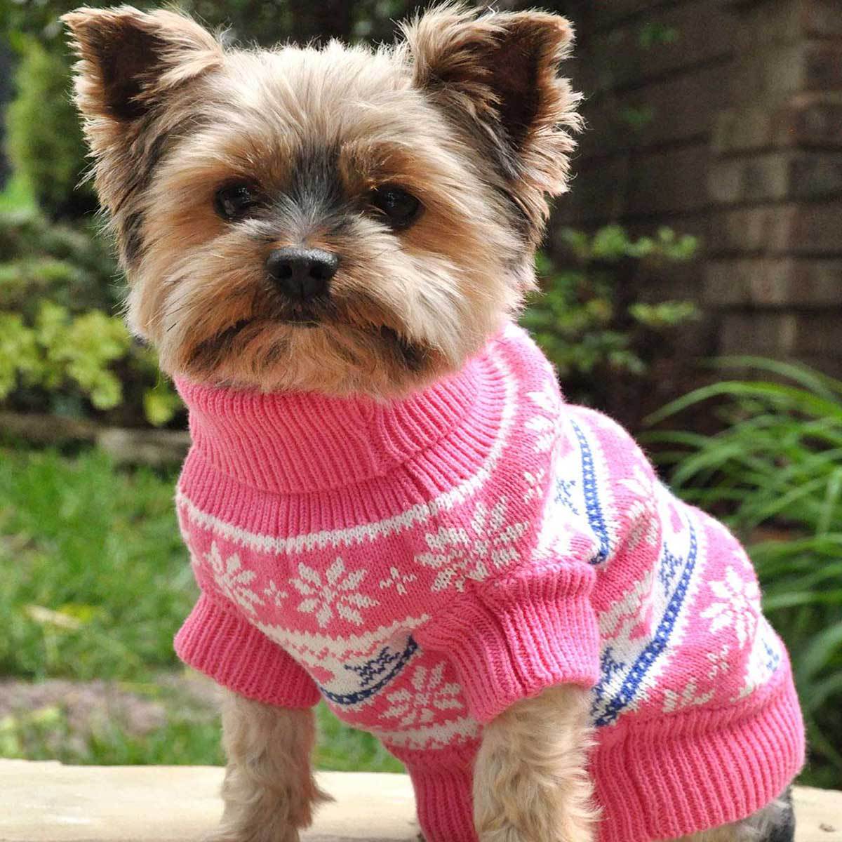 Pink Snowflake and Hearts Dog Sweater | Pawlicious & Company