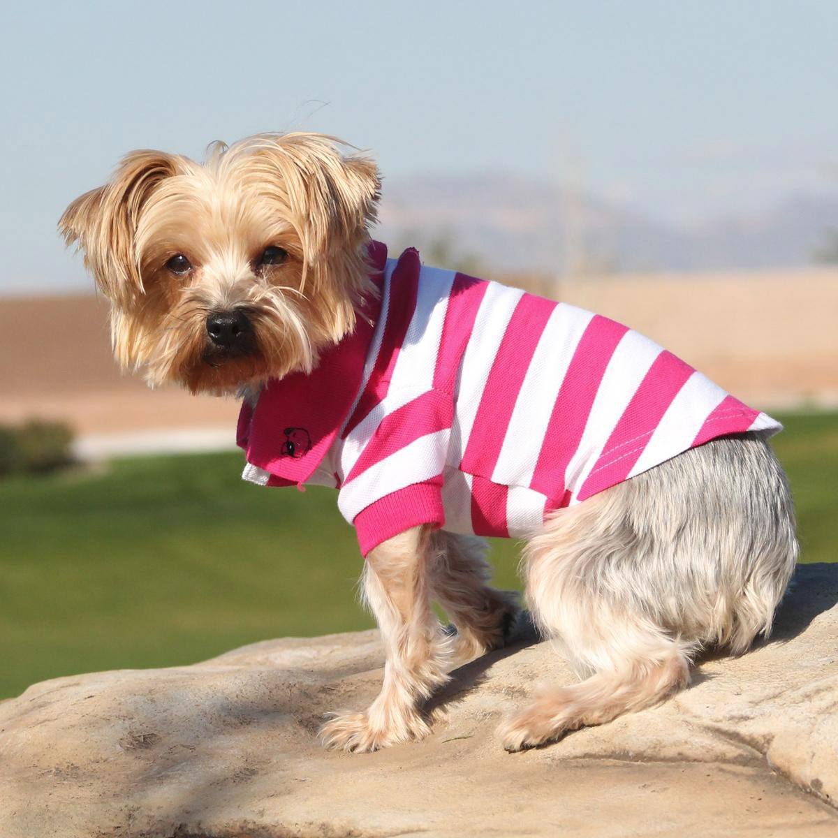 100% Pink Striped Dog Polo Shirt | Pawlicious & Company