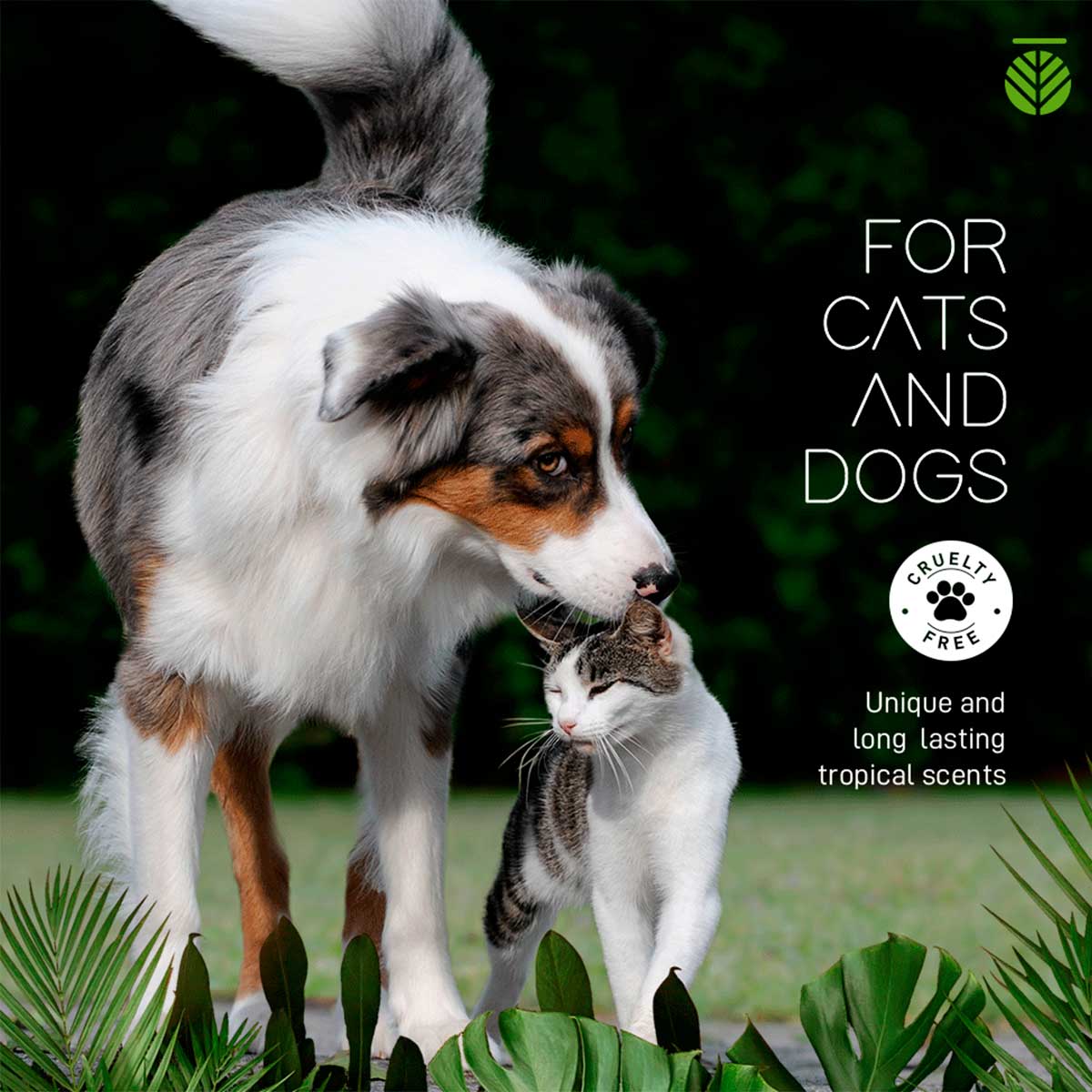 Amazonia Pitanga Dog Shampoo | Pawlicious & Company
