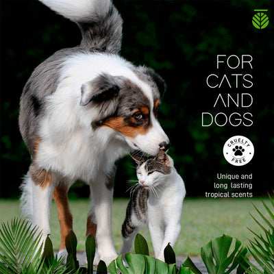 Amazonia Pitanga Dog Shampoo | Pawlicious & Company