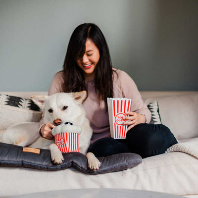 Hollywoof Poppin Pupcorn Plush Dog Toy