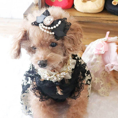 Princess for A Day Dog Hair Bow in Black | Pawlicious & Company