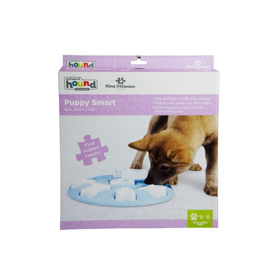 Blue Smart Puzzle Game Doy Toy - Easy | Pawlicious & Company