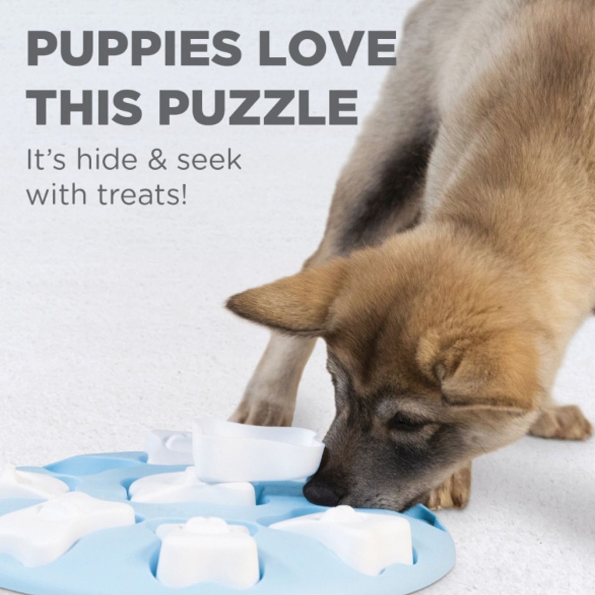 Blue Smart Puzzle Game Doy Toy - Easy | Pawlicious & Company
