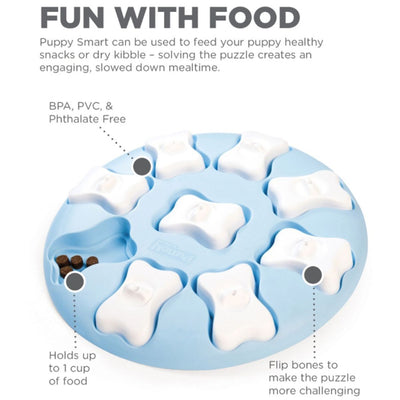 Blue Smart Puzzle Game Doy Toy - Easy | Pawlicious & Company
