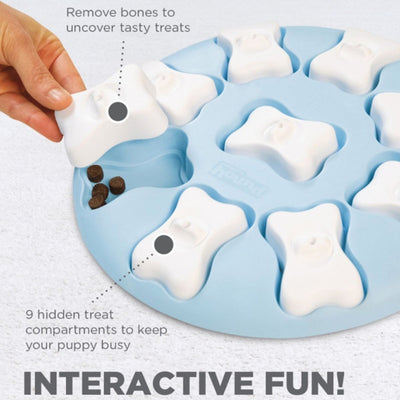 Blue Smart Puzzle Game Doy Toy - Easy | Pawlicious & Company