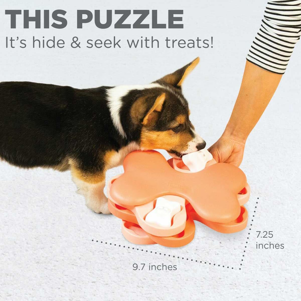 Nina Ottosson Dog Brick Interactive Treat Puzzle Dog Toy, Intermediate