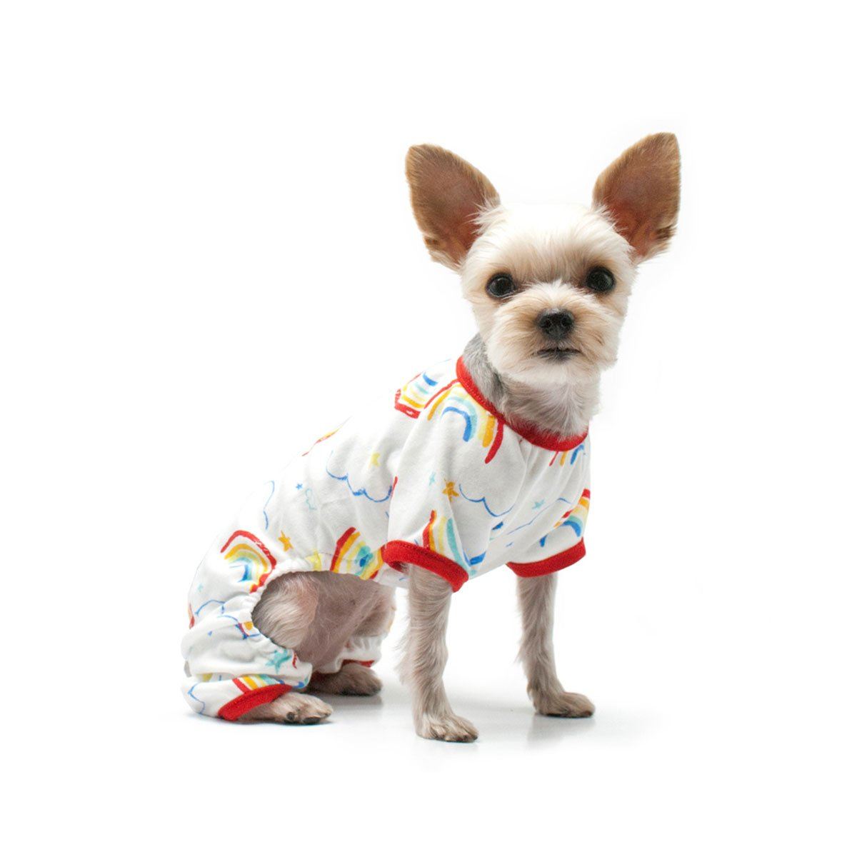 Dogo dog clothes on sale