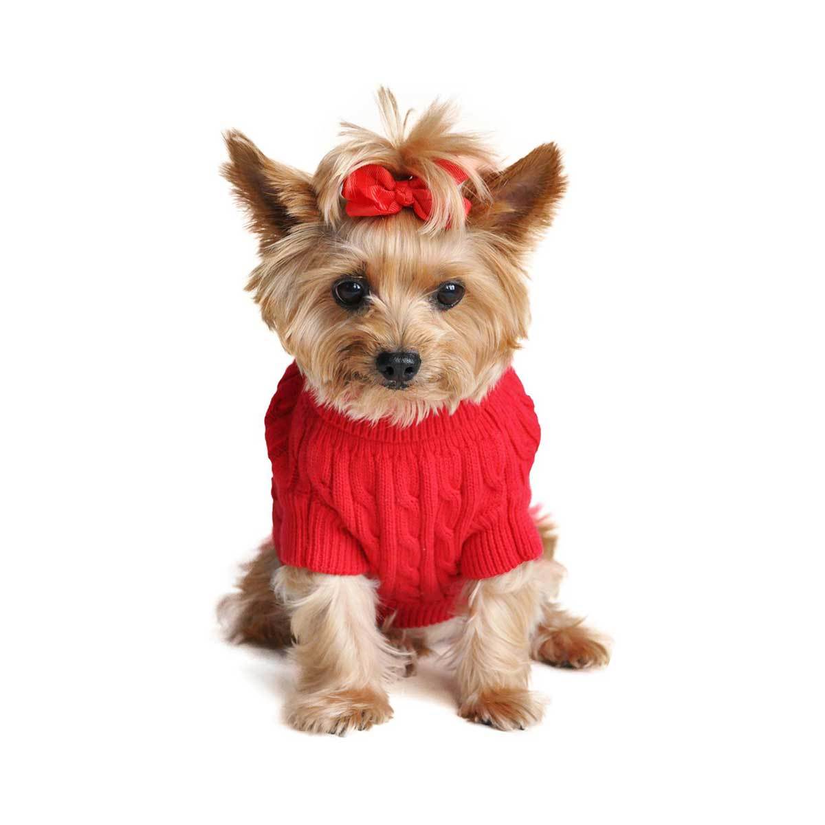Cable Knit Dog Sweater in Red | Pawlicious & Company