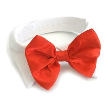 Red Satin Dog Bow Tie and Collar | Pawlicious & Company