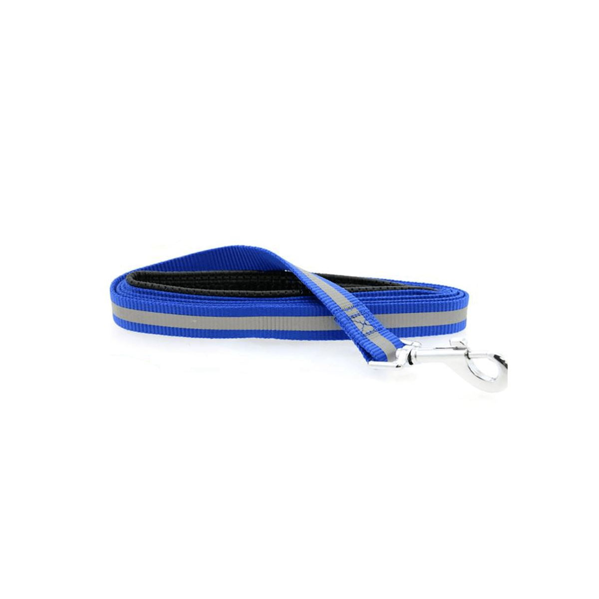 Reflective Nylon Leash with Soft Grip Handle in Blue | Pawlicious & Company