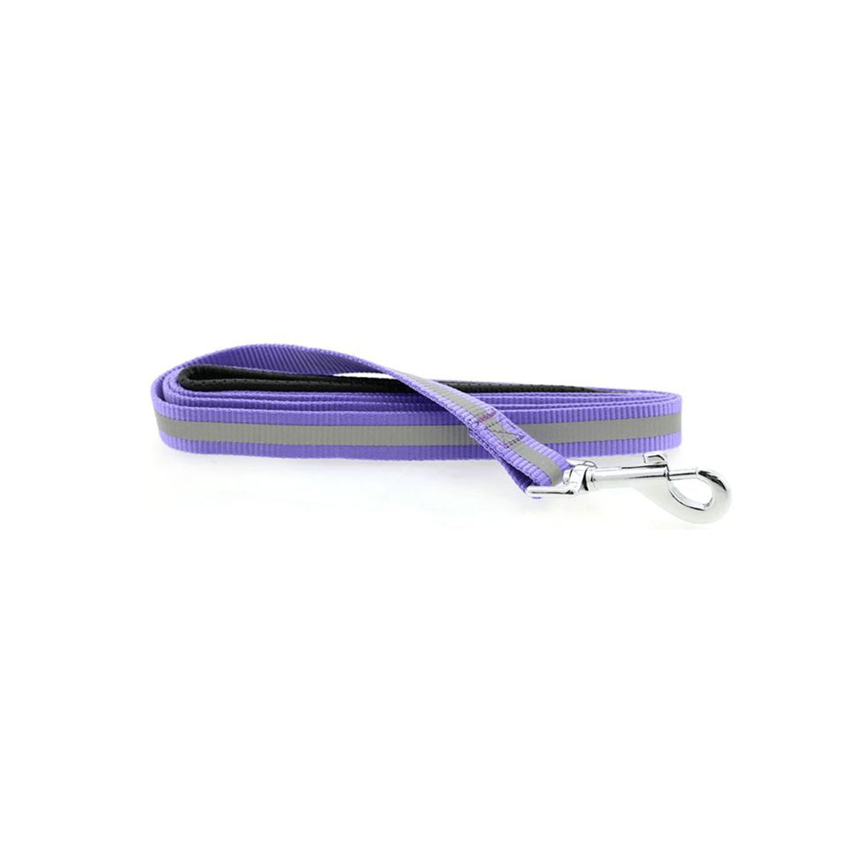 Reflective Nylon Leash with Soft Grip Handle in Paisley Purple | Pawlicious & Company