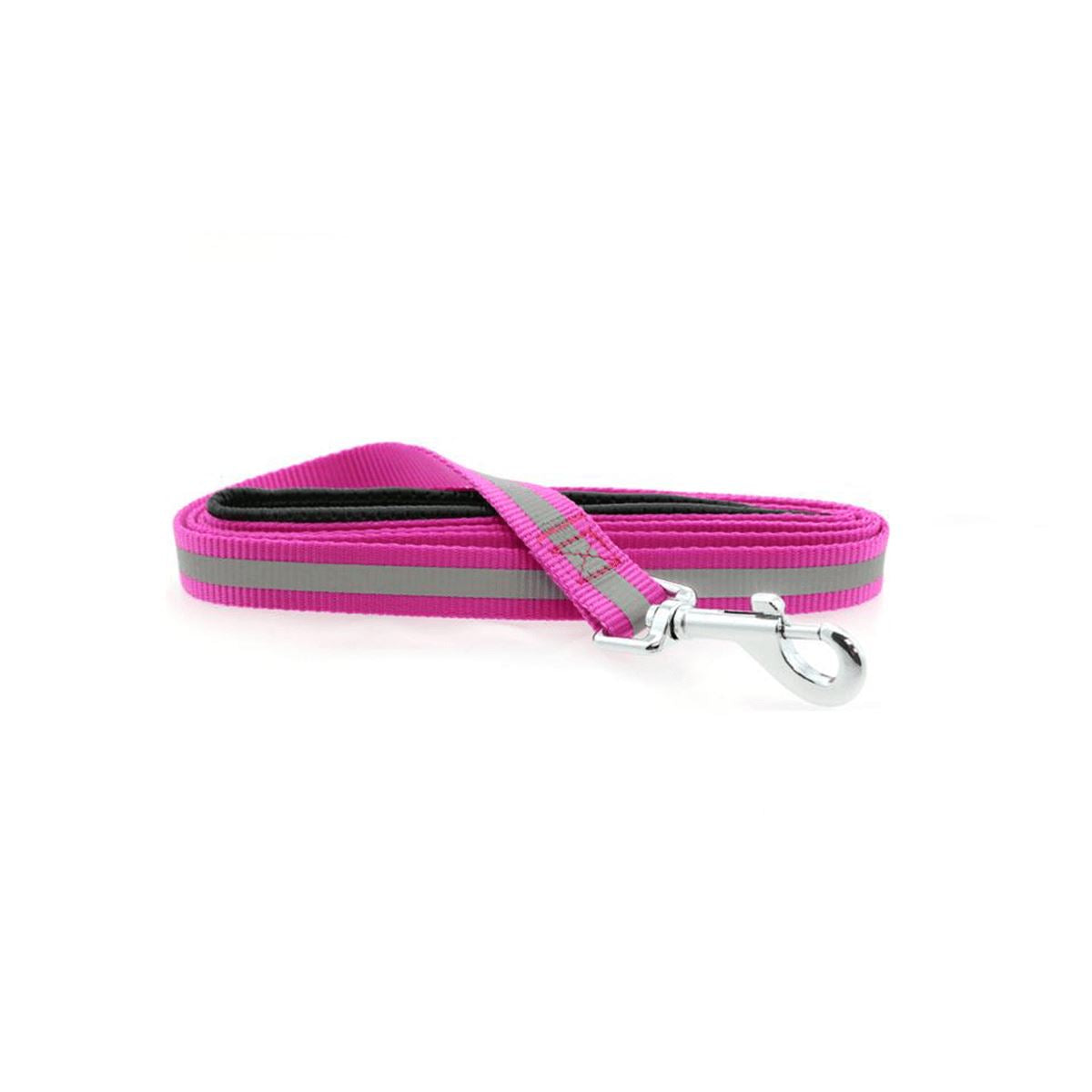 Reflective Nylon Leash with Soft Grip Handle in Raspberry | Pawlicious & Company