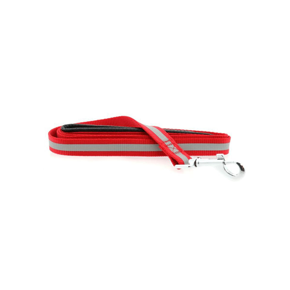 Reflective Nylon Leash with Soft Grip Handle in Red | Pawlicious & Company
