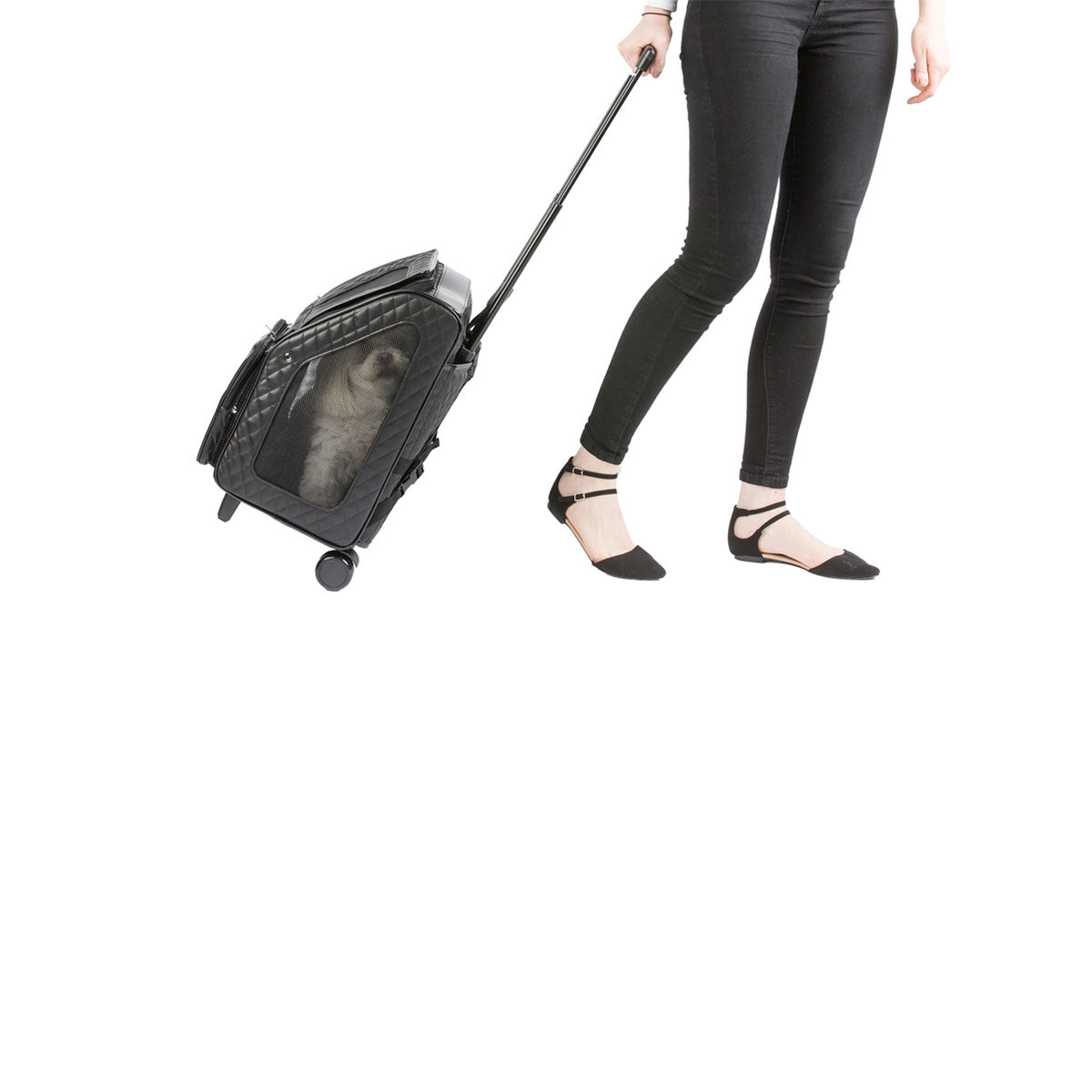 Rio Carrier Bag on Wheels - Quilted Black Luxe | Pawlicious & Company