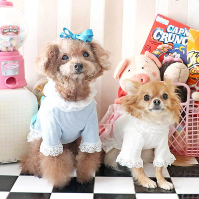 Romantic Girly Dog Blouse | Pawlicious & Company