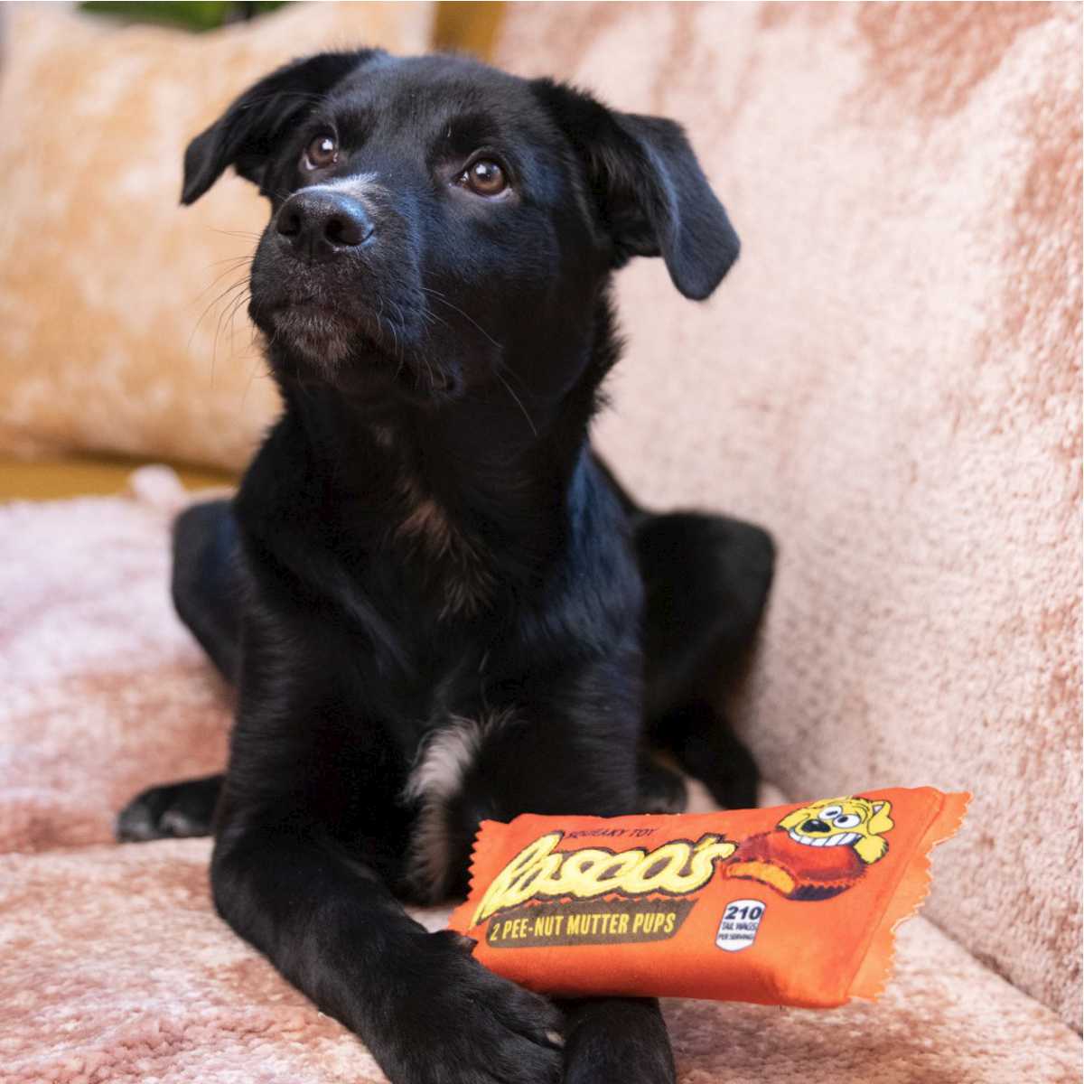 Rosco's Pee-Nut Mutter Plush Toy | Pawlicious & Company