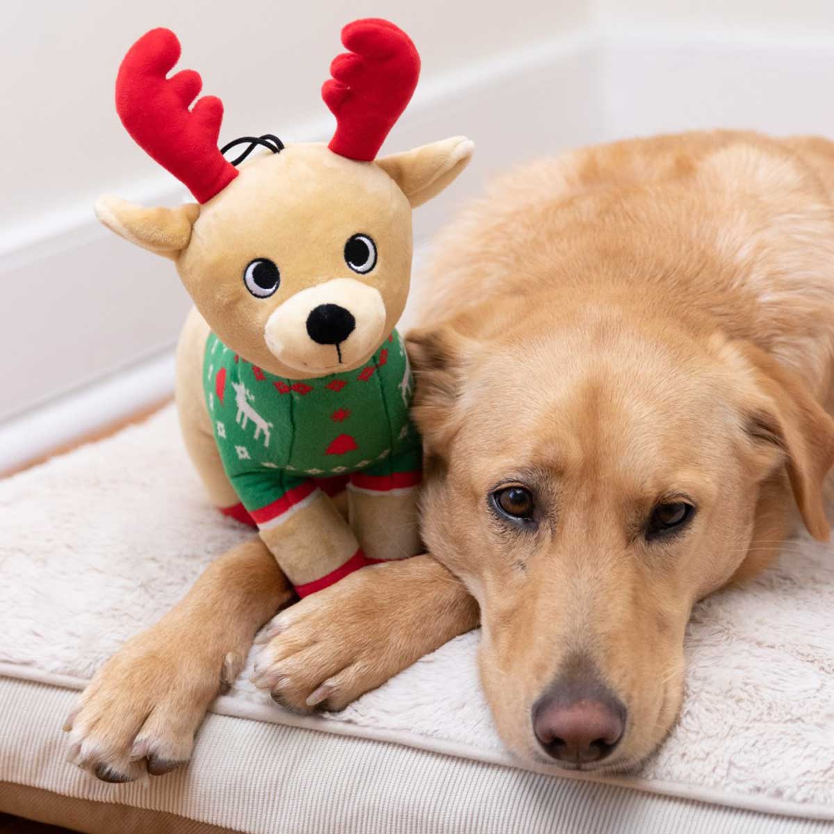 Ruby Reindeer Plush Dog Toy | Pawlicious & Company