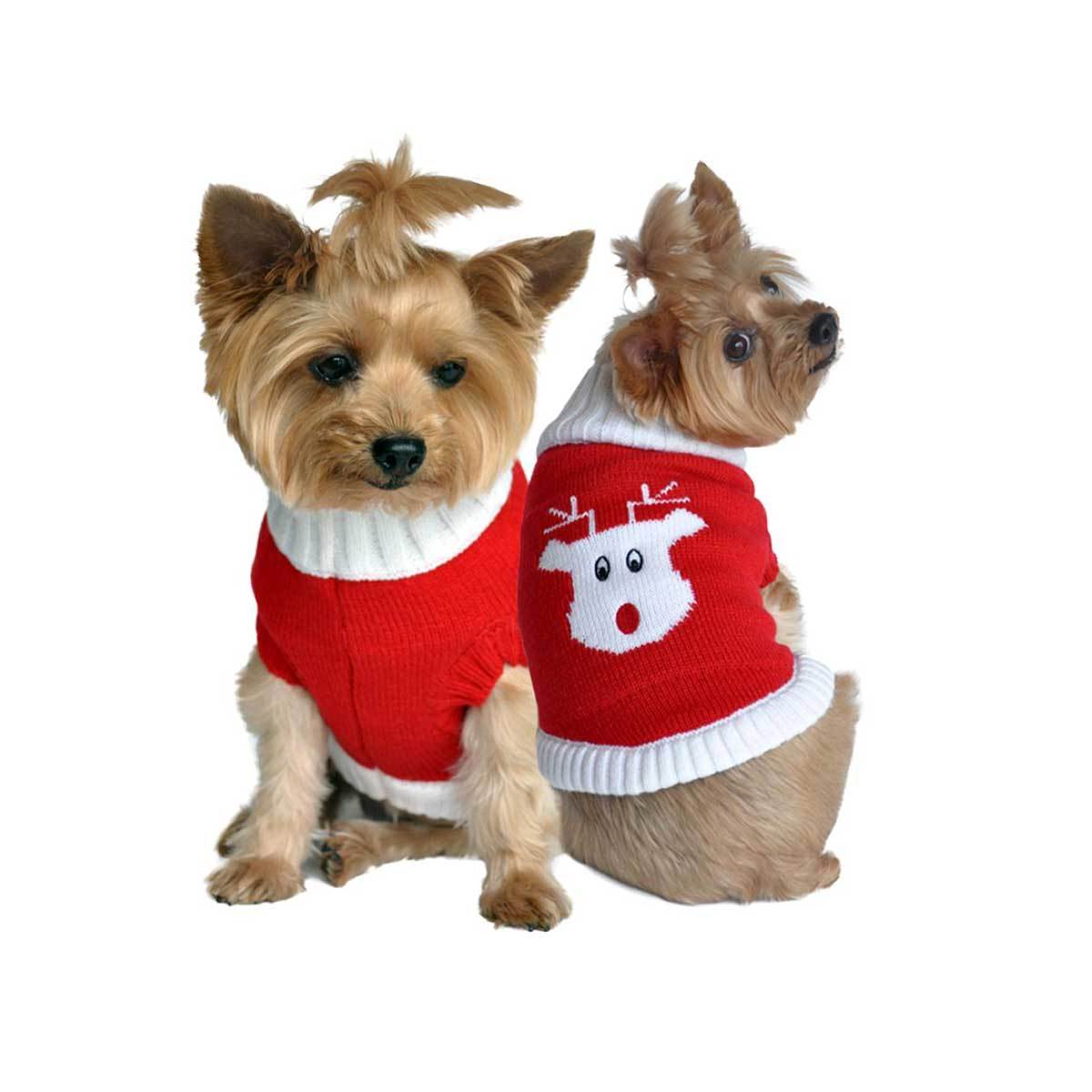 Rudolph Holiday Dog Sweater | Pawlicious & Company