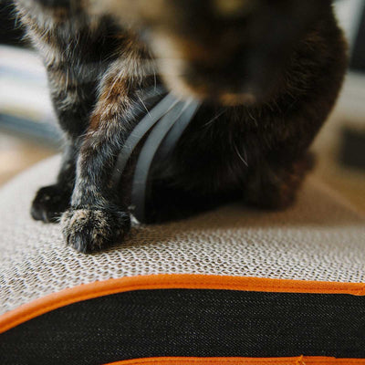 The Arty Cat Scratcher