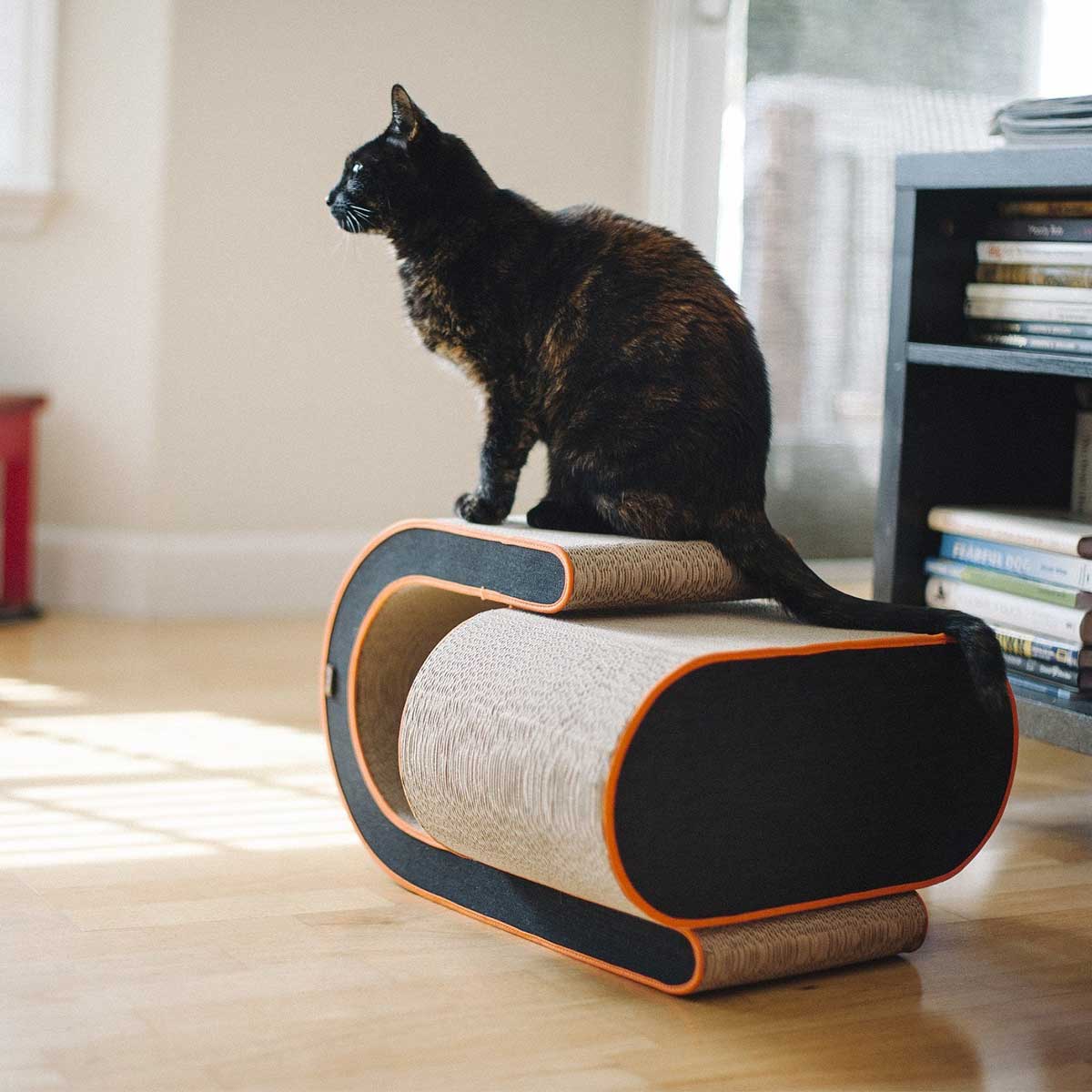 The Arty Cat Scratcher